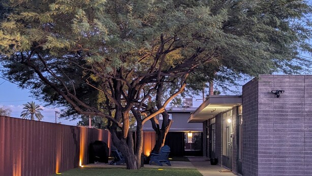 Un jardin avec un arbre, un barbecue et un bâtiment à l’extérieur en briques.