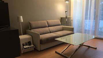 TV, DVD player, books, video library