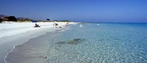 Playa en los alrededores y playa de arena blanca 