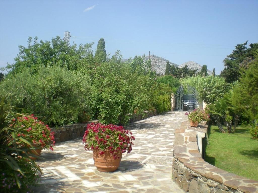 Un sendero de piedra serpentea por un jardín con plantas en macetas y una vista distante de una montaña.