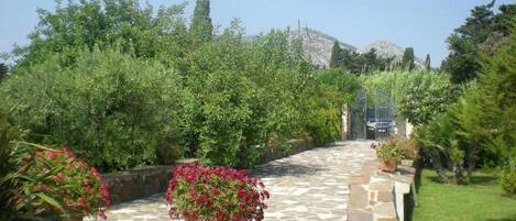 Un sendero de piedra serpentea por un jardín con plantas en macetas y una vista distante de una montaña.