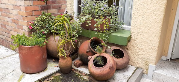 Property grounds - The Hostel Bogota Real (Bogotá)