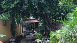 Un sendero de piedra serpentea por un exuberante jardín, con diversas plantas y una pequeña construcción al fondo.