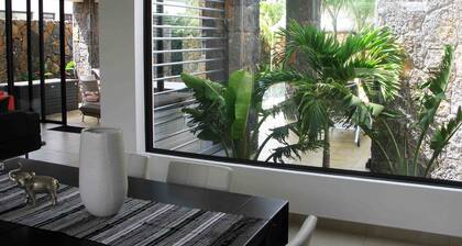 Luxury Contemporary Villa Without Opposite