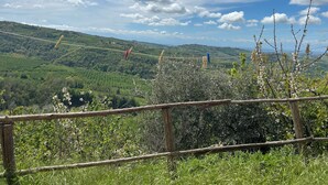Ländliche Landschaft mit Holzzaun, viel Grün und blauem Himmel.