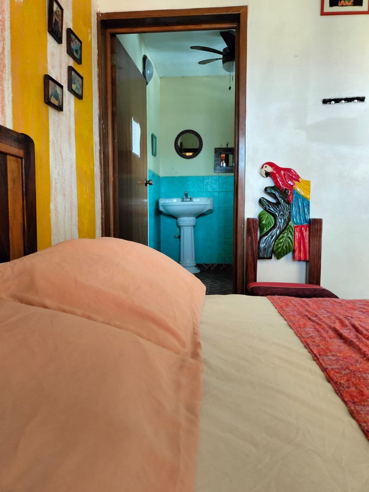 Foto - Cancun Guest House 1