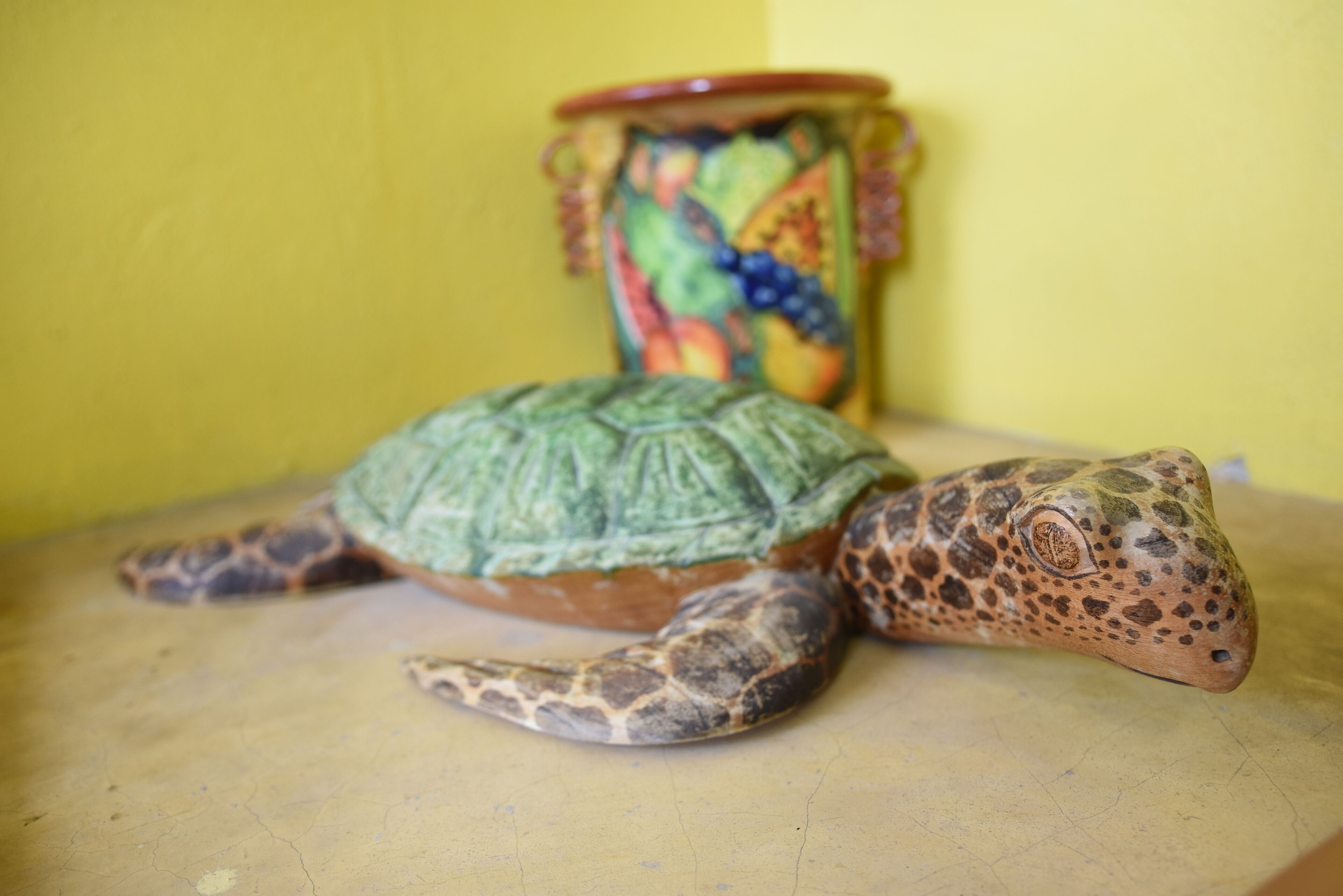 Foto - Cancun Guest House 1