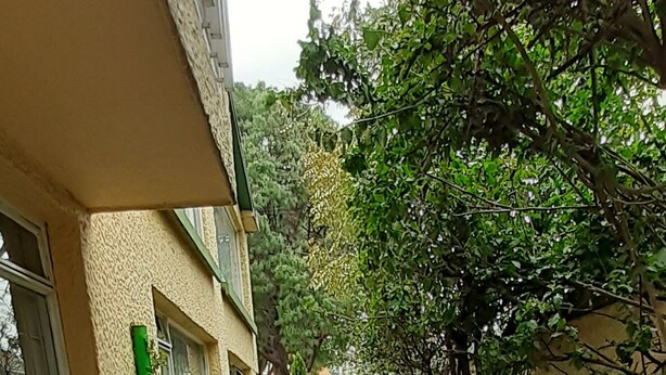 Property grounds - The Hostel Bogota Real (Bogotá)