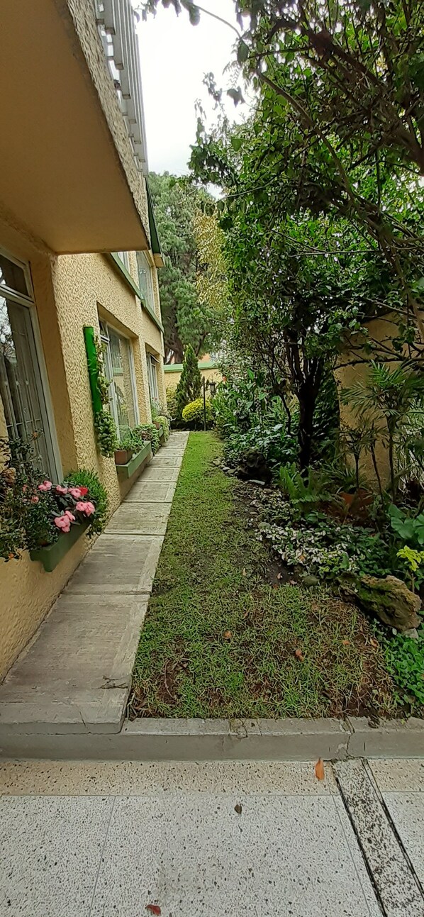 Property grounds - The Hostel Bogota Real (Bogotá)