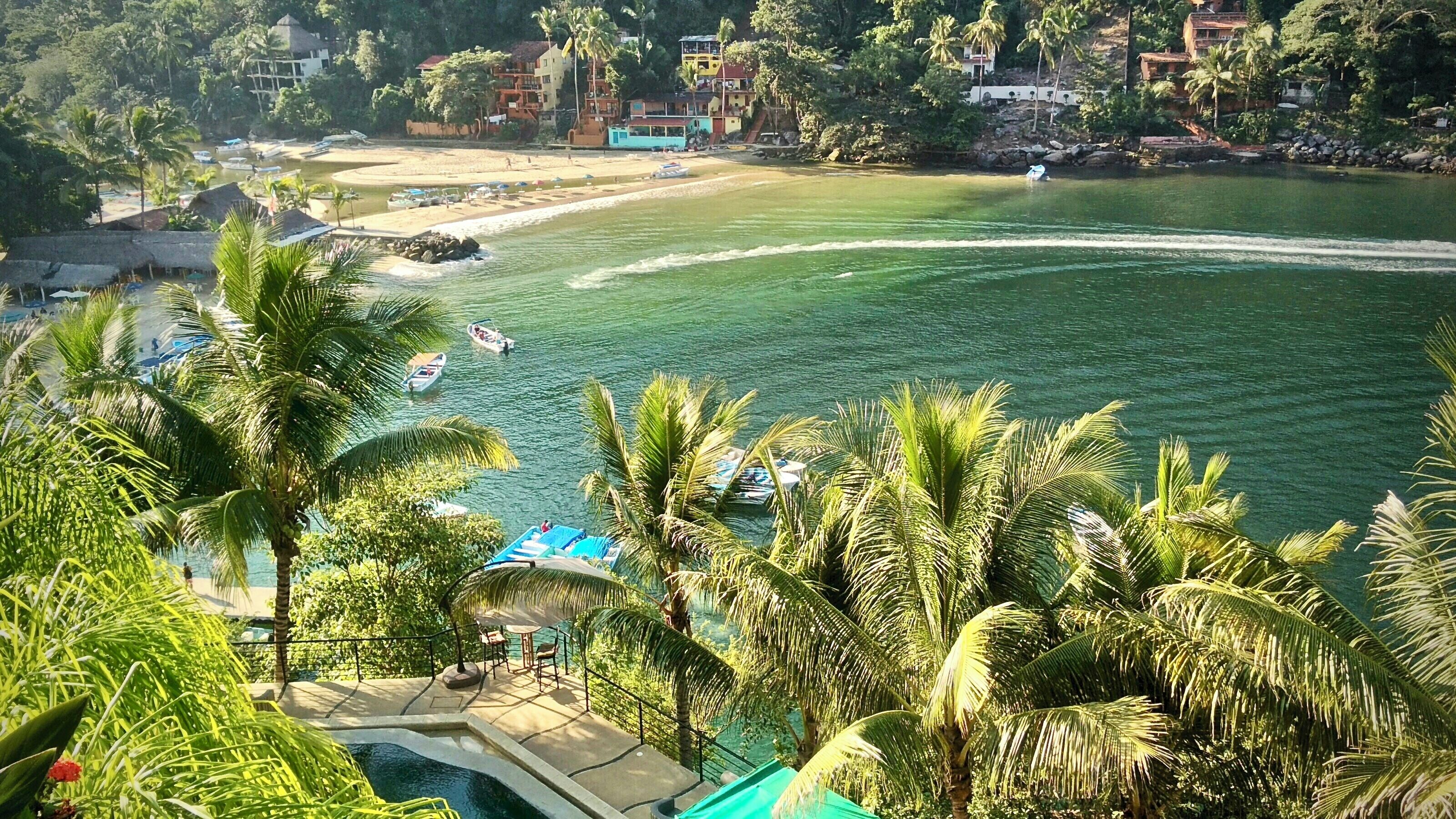 Un resort con piscina, palmeras y una zona de playa con barcos.