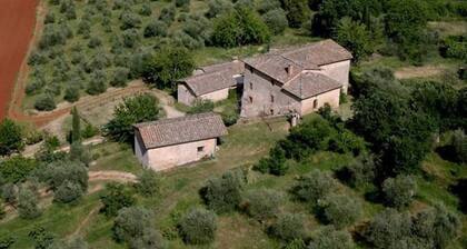 Podere Ficareto Farm