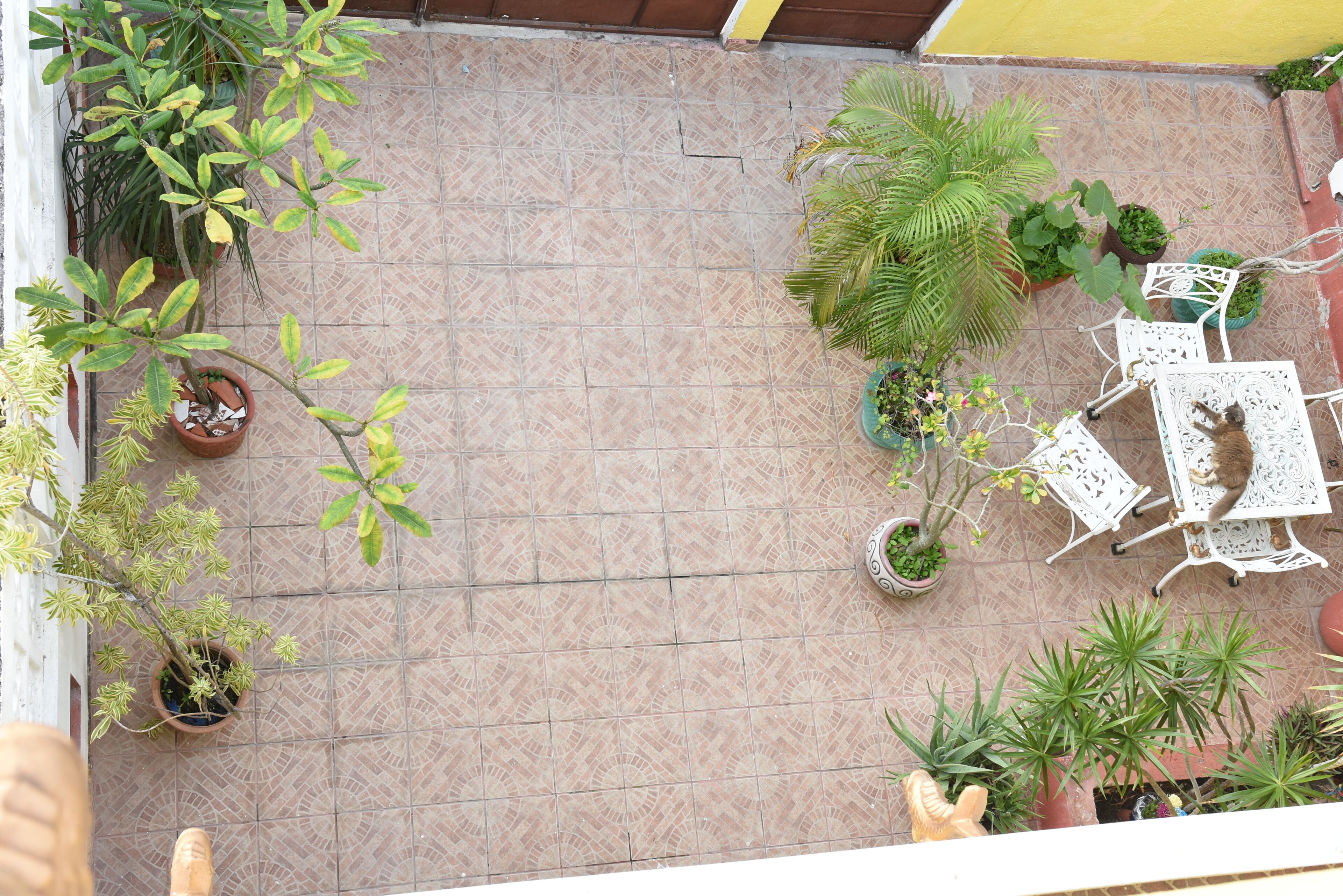 Dormitorio compartido, 1 habitación, patio | Exterior