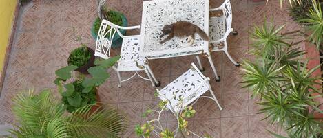 Shared Dormitory, 1 Bedroom, Patio | Terrace/patio