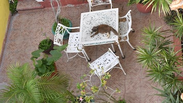 Dormitorio compartido, 1 habitación, patio | Terraza o patio