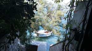 Divers