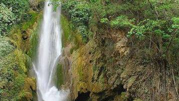 Huone, 1 makuuhuone, tupakointi sallittu, terassi | Ulkoalueet
