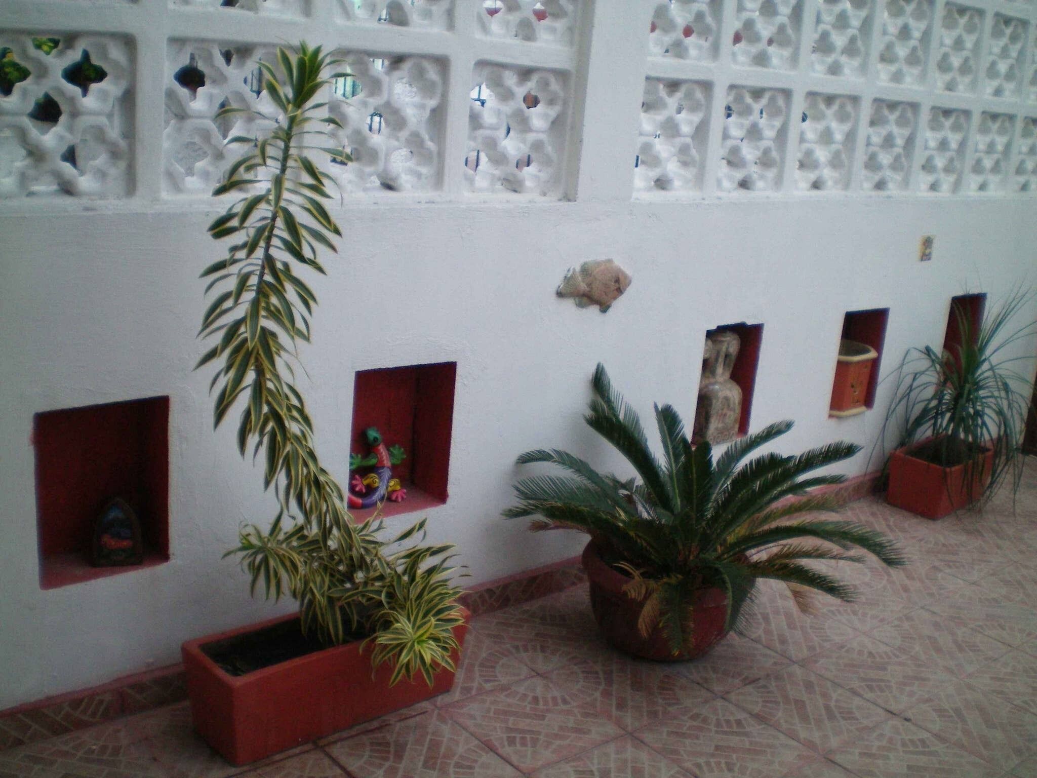 Photo - AH KIN Cancun Centro