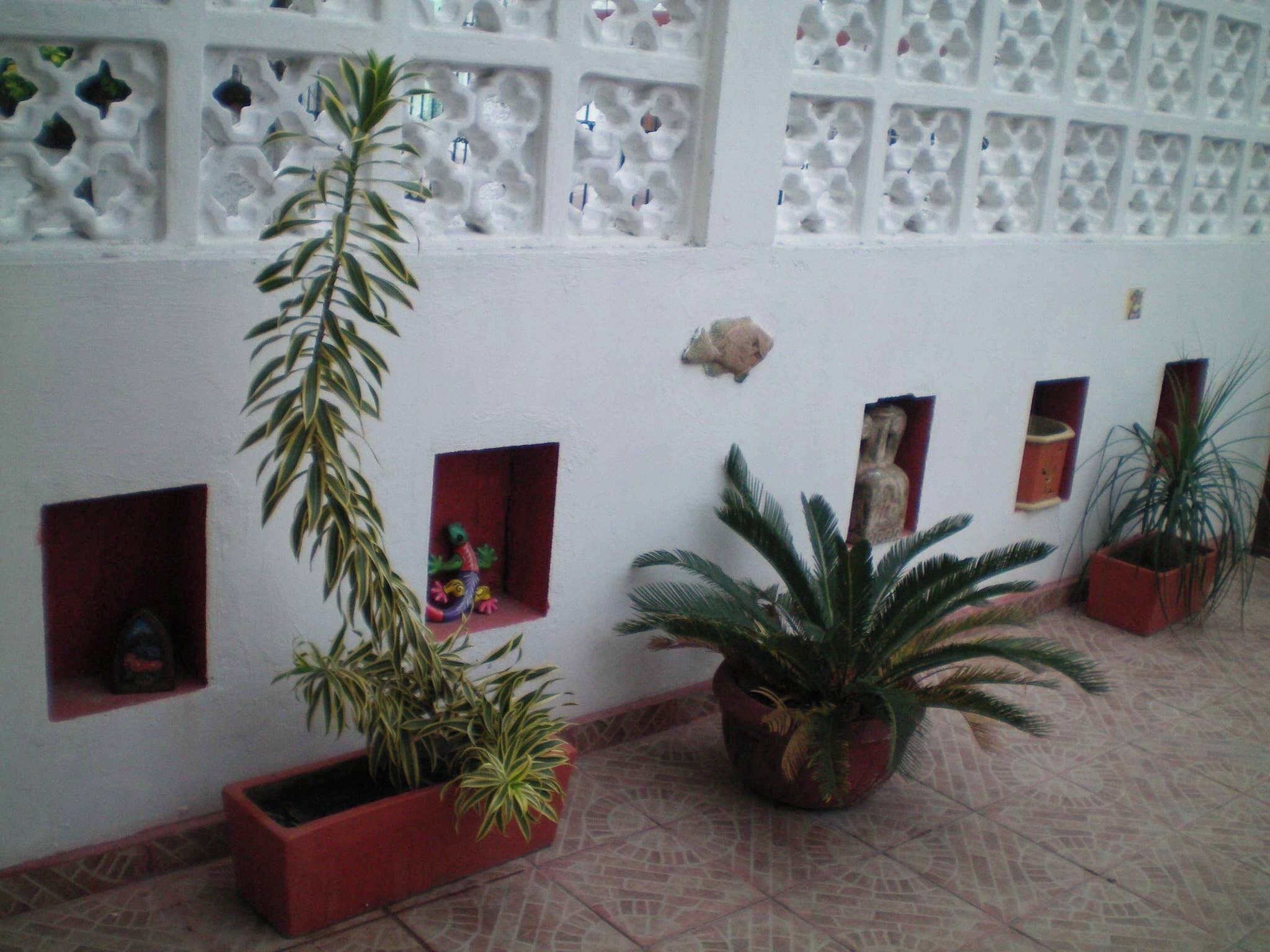 Habitación, 1 habitación, patio | Jardines del alojamiento