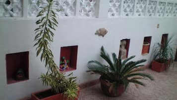 Habitación, 1 habitación, patio | Jardines del alojamiento