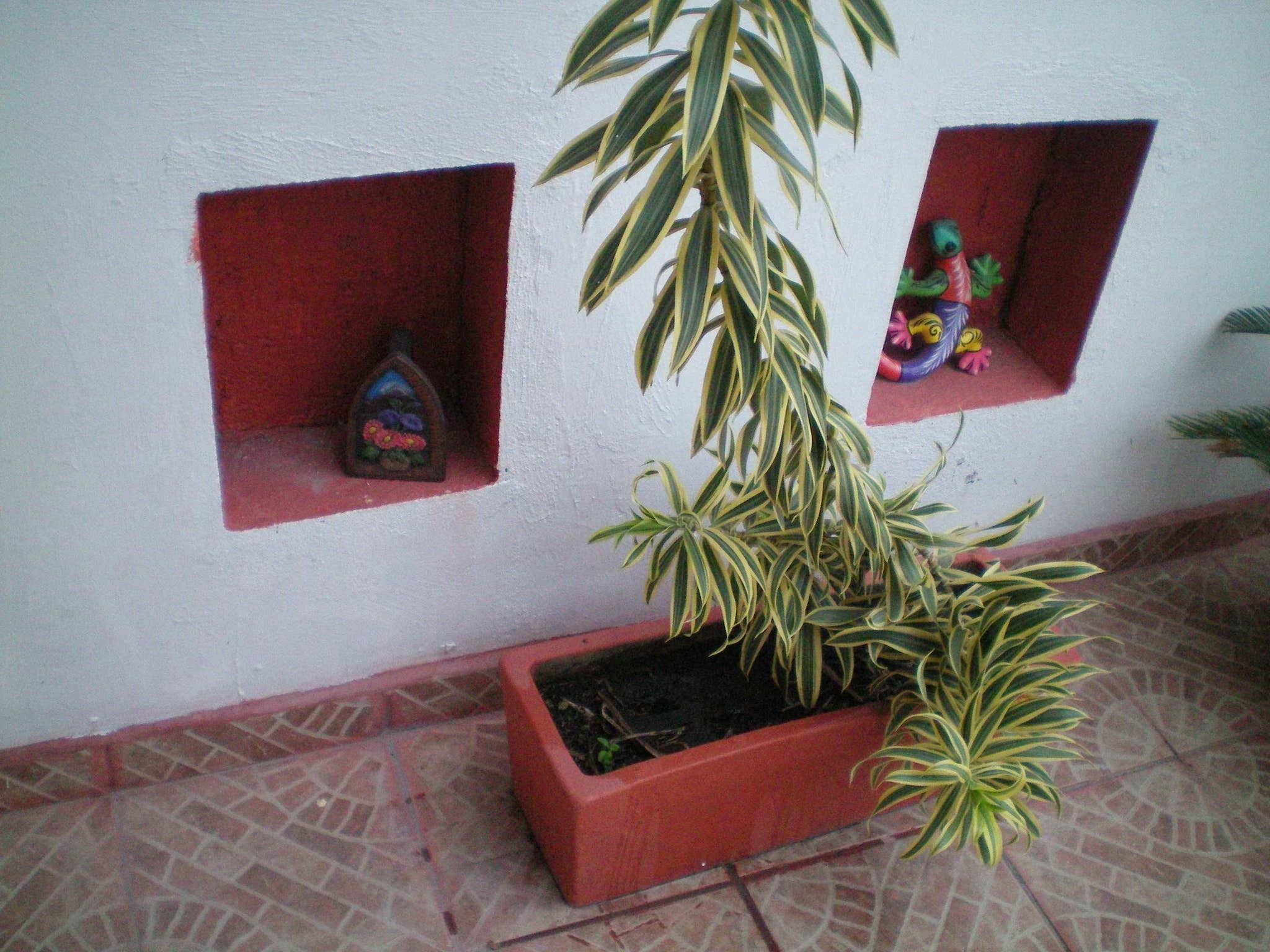 Photo - AH KIN Cancun Centro