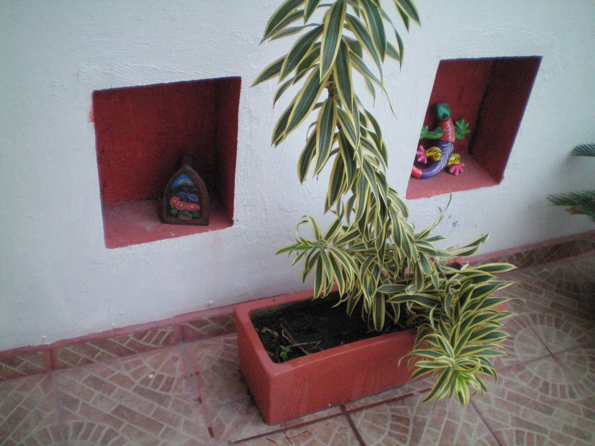 Foto - AH KIN Cancun Centro