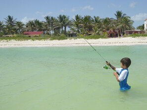 A beachfront scene with a person fishing in shallow water, palm trees, and buildings in the background.