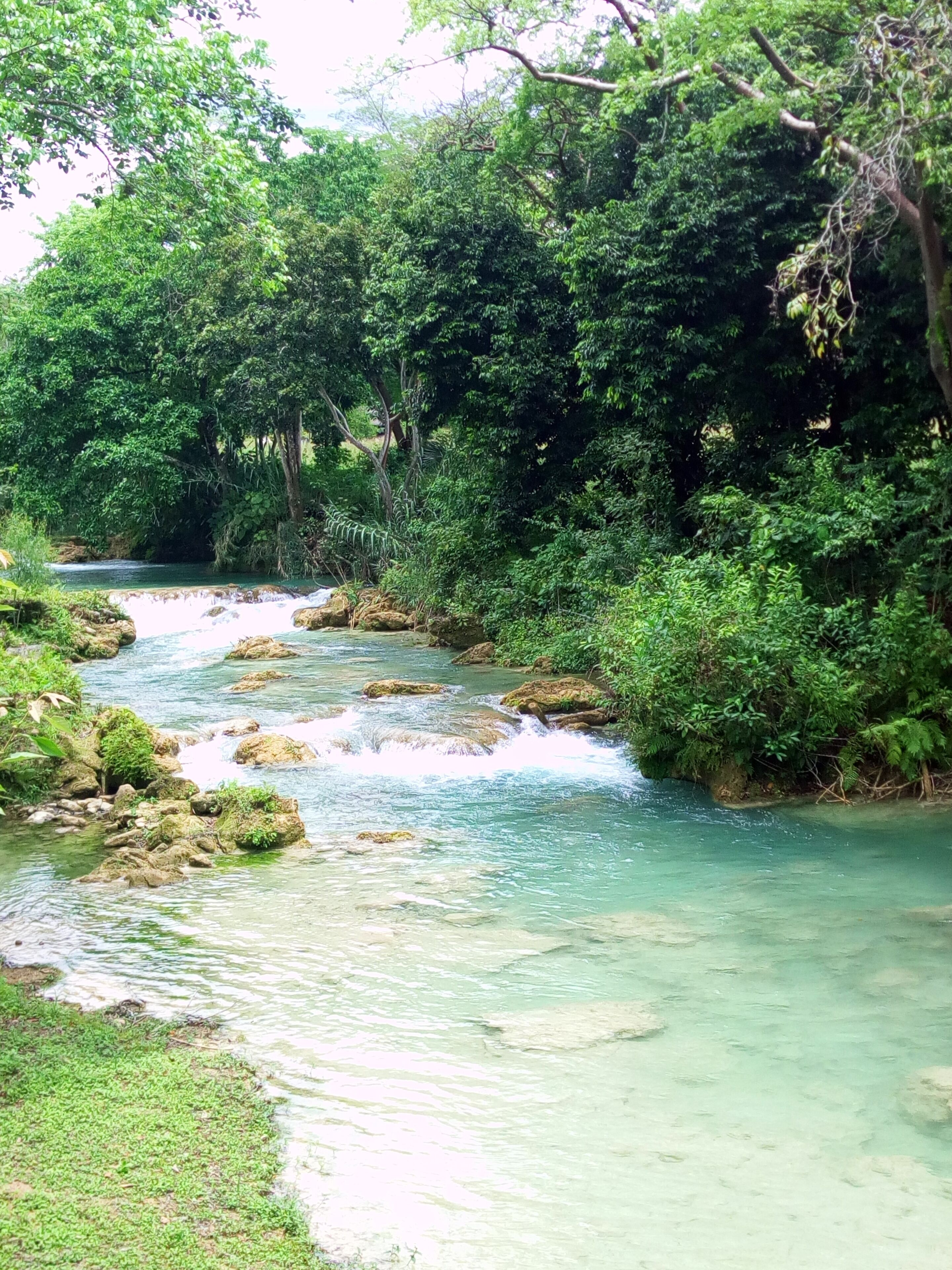 Room, 1 Bedroom, Patio, Garden View | Exterior