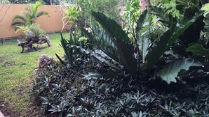 Un jardín con diversas plantas y una estructura de madera.