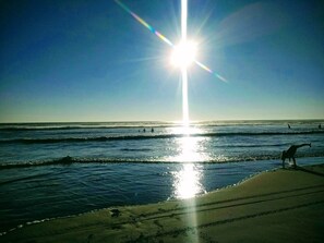 Apartemen, 2 kamar tidur, Boleh Merokok, balkon | Pantai