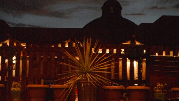 A building with a large, illuminated plant in the foreground. - Room in Guest Room - Camp - Santos Cabanas (Todos Santos)
