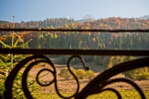 Vista desde la propiedad