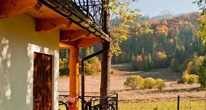 Domki Narciarskie Zakopane