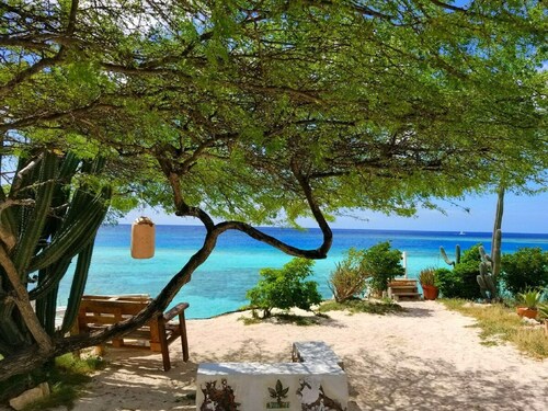 Beach Front Cottage