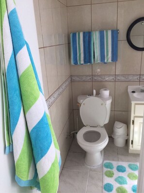 Regadera, secadora de cabello, toallas 