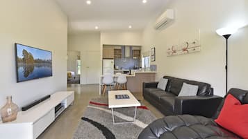 TV, fireplace, DVD player