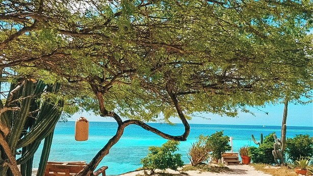 A beach with a wooden bench, a cactus, and a stone wall.