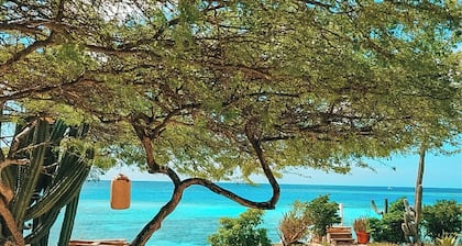 Beach Front Honeymoon