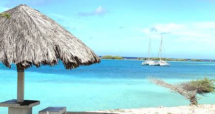 Beach Front Paradise