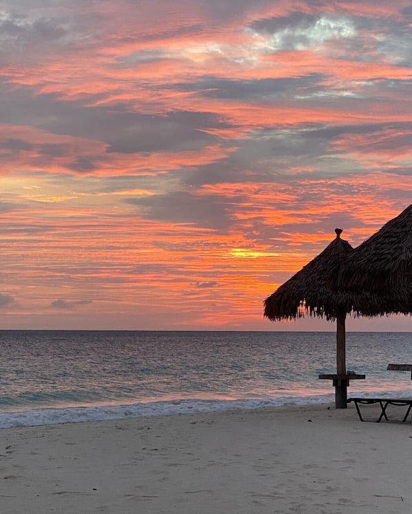 A beach with a thatched umbrella and a bench, and the ocean in the background.