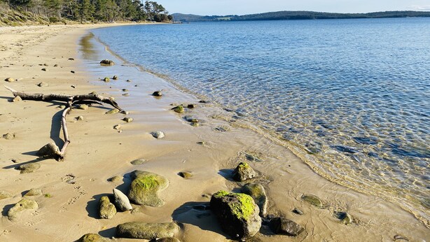 A beach with clear water, rocks, and a forested area in the background.