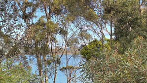 A wooden deck with dense foliage and a view of a body of water.