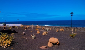Un giardino costiero con rocce, cactus e un muro in pietra.