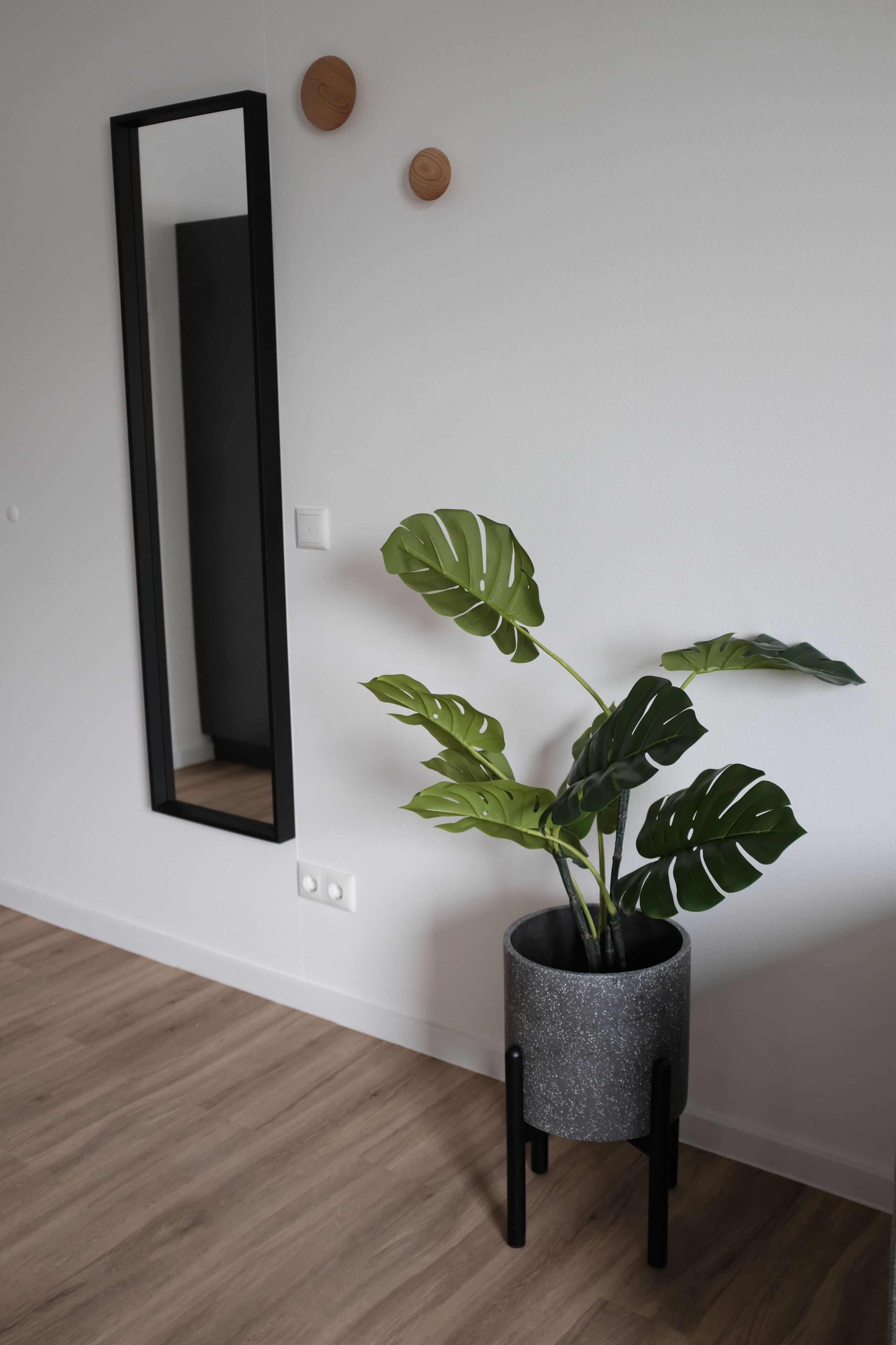 Basic Apartment, 1 Bedroom (incl. 75€ Cleaning Fee) | Room amenity