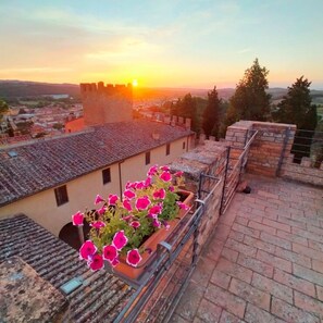 Property grounds - Casa Torre - Tower House - Tuscany  (Certaldo)