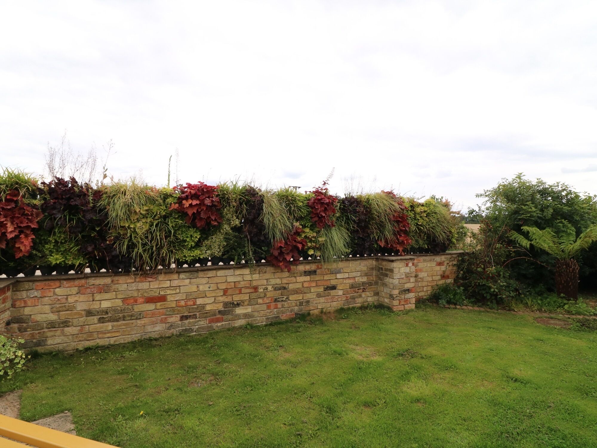 A brick wall with a variety of plants and shrubs.