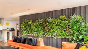 Un espace de vie moderne comprenant un canapé, une table basse et un présentoir à plantes fixé au mur.
