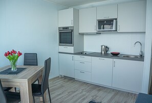 Private kitchen - Aurora Fjord Cabins (Lyngen)