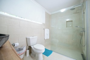 Dusche, Haartrockner, Handtücher, Seife