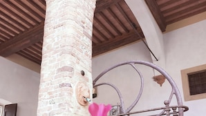 Property grounds - Palazzo Stiozzi Ridolfi - Certaldo Alto - Toscana (Certaldo)