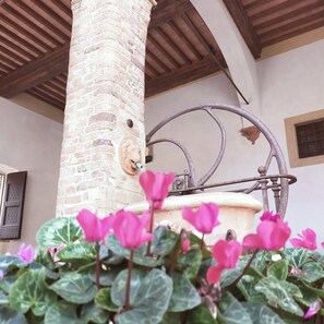 Property grounds - Palazzo Stiozzi Ridolfi - Certaldo Alto - Toscana (Certaldo)